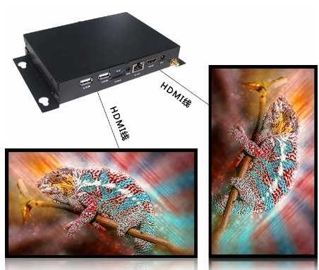 Control síncrono de la tarjeta 8~32GB HDMI Media Player del TF que fluye al jugador HDMI